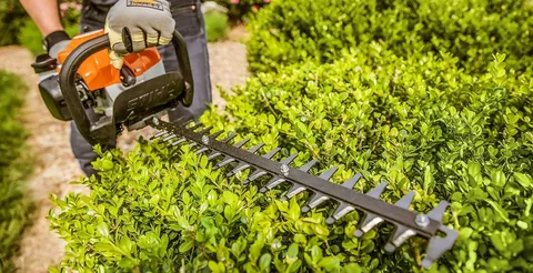 Why Your Old Hedge Trimmer Might Be Damaging Your Shrubs